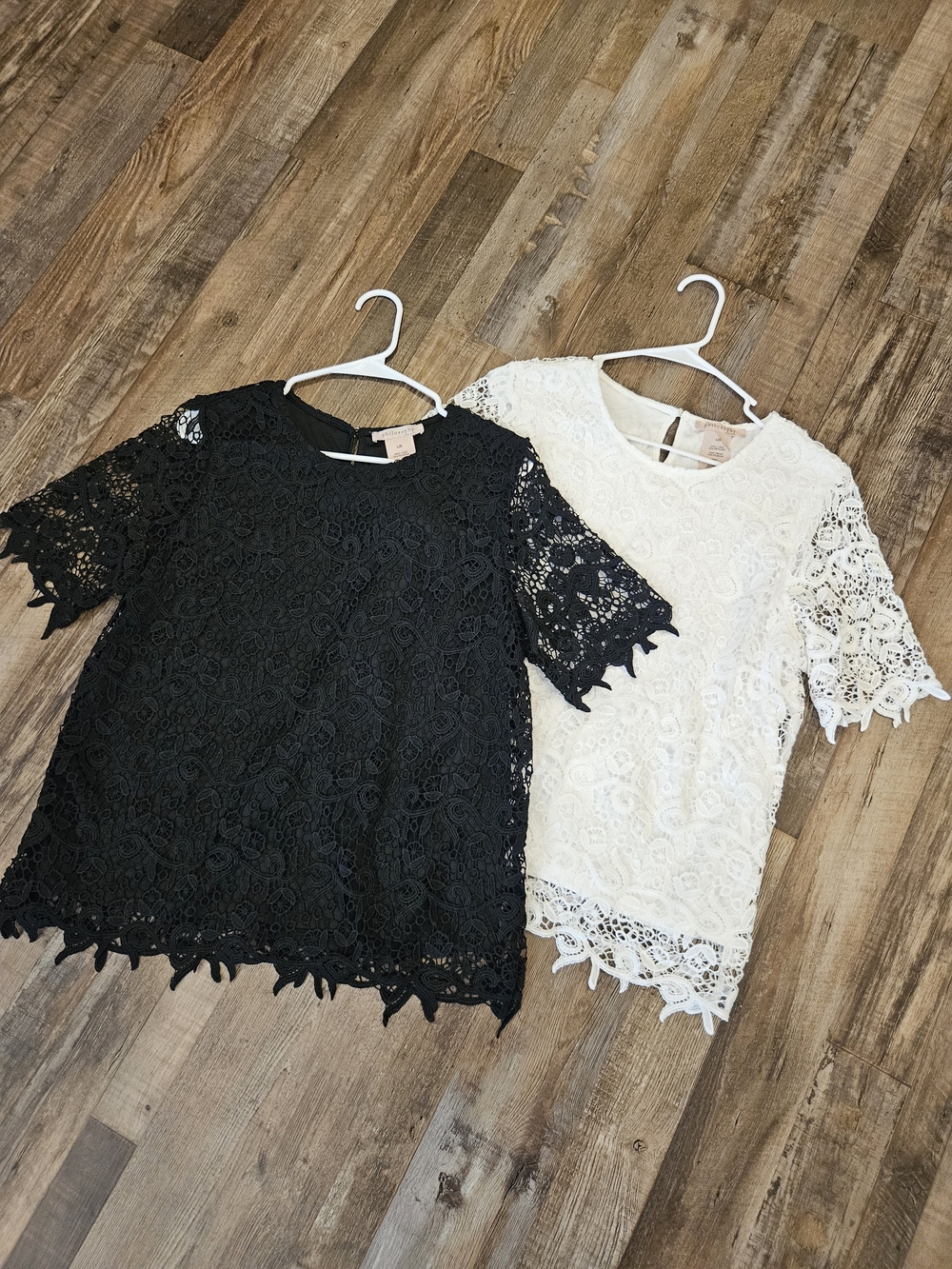 Philosophy Lace Short-Sleeve Blouse in Black and White